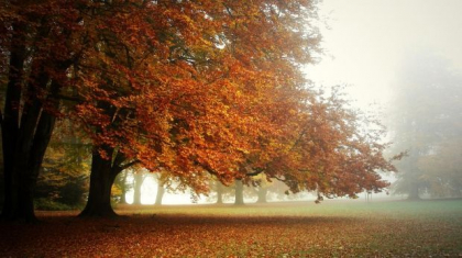 Maxime de pana la +23 de grade si precipitatii slabe in unele regiuni ale tarii. Ce vreme ne asteapta in acest weekend. Prognoza meteo - FOTO