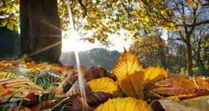 Noiembrie ne bucura cu temperaturi de primavara. Cum va fi vremea astazi si in urmatoarele zile. Prognoza meteo - FOTO
