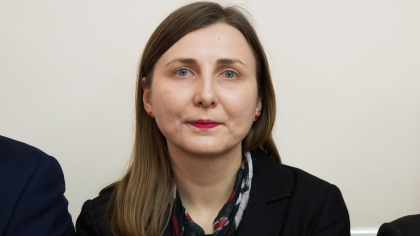 Cine este noua ambasadoare UE, votata de cabinetul de ministri