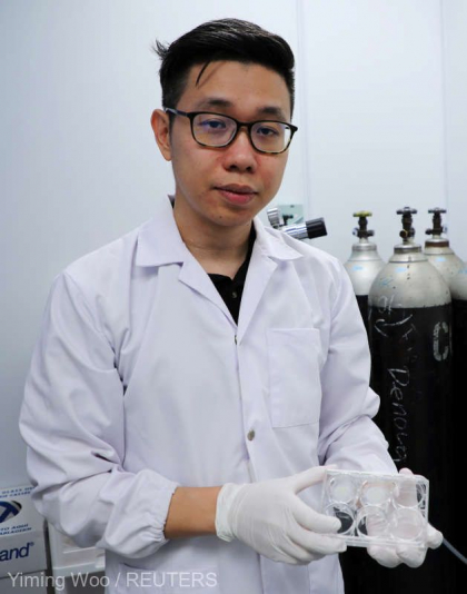 Cercetatori din Singapore au reusit sa produca piele umana in-vitro