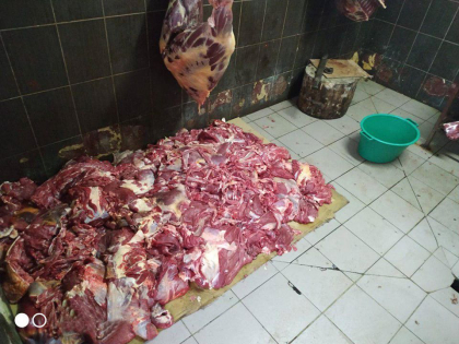 Abator ilegal la Falesti. Carne de vita in valoare de 110 de mii lei, ridicata de politisti. Animalele erau sacrificate in conditii antisanitare, iar dupa asta transportate pentru vanzare. Ce risca proprietarul - FOTO/VIDEO Abator ilegal la Falesti. Carne de vita in valoare de 110 de mii lei, ridicata de politisti. Animalele erau sacrificate in conditii antisanitare, iar dupa asta transportate pentru vanzare. Ce risca proprietarul - FOTO/VIDEO