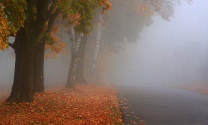Un inceput de saptamana cu maxime de 4 grade, vom avea in capitala. Meteorologii prognozeaza ca vremea se va incalzi usor in urmatoarele zile. Prognoza meteo - FOTO