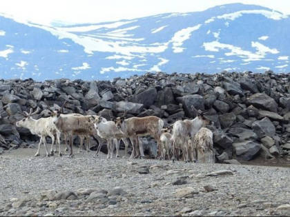 Cercetatori: Cine sunt primii pamanteni care vor plati cu viata pretul incalzirii globale