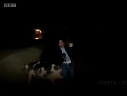 Ce a patit un reporter in timp ce voia sa relateze un direct. Un porc i-a dat planurile peste cap - VIDEO Ce a patit un reporter in timp ce voia sa relateze un direct. Un porc i-a dat planurile peste cap - VIDEO