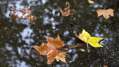 Se asteapta ploi in nordul tarii. Ce temperaturi vom avea in capitala si in celelalte regiuni. Prognoza meteo - FOTO