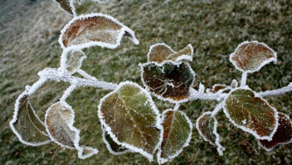 Maxime de 4 grade ziua in capitala, iar noaptea se va raci simtitor. Ce temperaturi vom avea in restul tarii. Prognoza meteo - FOTO Maxime de 4 grade ziua in capitala, iar noaptea se va raci simtitor. Ce temperaturi vom avea in restul tarii. Prognoza meteo - FOTO