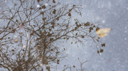 Maxime de 9 grade ne asteapta astazi. Cum va fi vremea in capitala, dar si in alte regiuni ale tarii. Prognoza meteo - FOTO