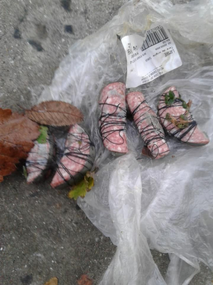 Mai multe bucati de salam otravite ar fi fost aruncate pe o strada din capitala. Internautii spun ca astfel locatarii ar incerca sa scape de cainii vagabonzi - GALERIE FOTO Mai multe bucati de salam otravite ar fi fost aruncate pe o strada din capitala. Internautii spun ca astfel locatarii ar incerca sa scape de cainii vagabonzi - GALERIE FOTO