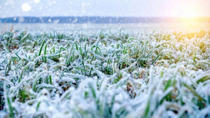 Vreme de weekend. Maxime de pana la +11 grade si cer noros se asteapta in capitala. Ce temperaturi vom avea in urmatoarele zile. Prognoza meteo - FOTO