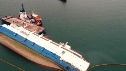 Cadavrele oilor din Portul Midia care plutesc in apa pot deveni un pericol pentru oameni. Biolog: Pot dezvolta antrax Cadavrele oilor din Portul Midia care plutesc in apa pot deveni un pericol pentru oameni. Biolog: Pot dezvolta antrax