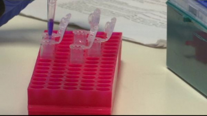 Una dintre cele mai periculoase bacterii din lume ar putea pune capat incalzirii globale