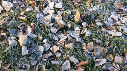 Temperaturile calde revin, se asteapta maxime de 12 grade. Cum va fi vremea astazi, dar si in urmatoarele zile. Prognoza meteo - FOTO