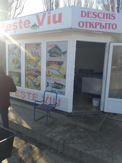 Controale neasteptate pentru vanzatorii de peste viu. S-au intocmit mai multe procese verbale. Ce ilegalitati au depistat cei de la ANSA - FOTO Controale neasteptate pentru vanzatorii de peste viu. S-au intocmit mai multe procese verbale. Ce ilegalitati au depistat cei de la ANSA - FOTO
