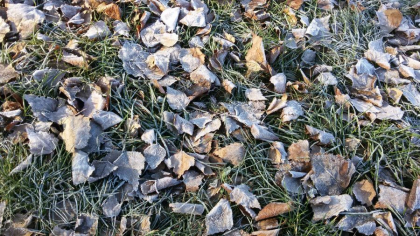 Temperaturi de martie in luna decembrie. Cum va fi vremea astazi, dar si in urmatoarele zile. Prognoza meteo - FOTO
