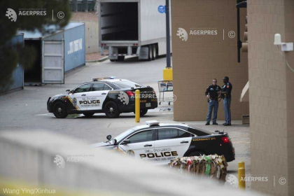 SUA - Trei caini din rasa Pitbull au ucis o femeie si au ranit o alta in Houston 