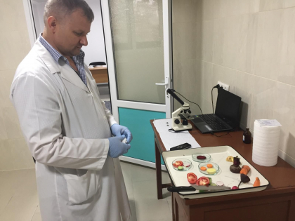 Pietele si magazinele din Edinet - verificate de ANSA. 11 procese-verbale, intocmite. Ce incalcari au gasit inspectorii - FOTO