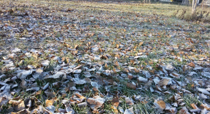 Cer variabil, fara precipitatii se anunta in capitala. Cum va fi vremea pe intreg teritoriul tarii. Prognoza meteo - FOTO