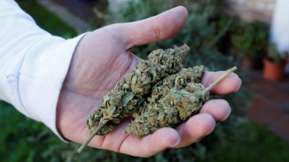 Un tanar, care vindea droguri la Briceni, condamnat la 4 ani de puscarie