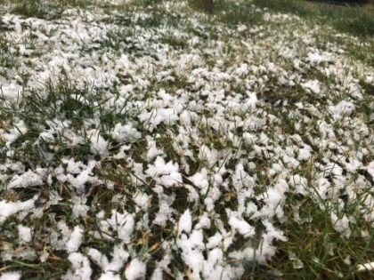 Ninge abundent in capitala, dar si in mai multe raioane ale tarii. Fulgii mascati se astern pe pamant - GALERIE FOTO/VIDEO