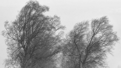 Cod galben in noaptea de Revelion. Anuntul meteorologilor - FOTO