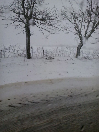 Primavara cu ...ninsori. NINGE in mai multe localitati din tara - FOTO