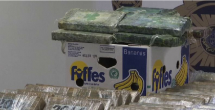 Cocaina transportata in banane, descoperita de politie. De unde provenea Cocaina transportata in banane, descoperita de politie. De unde provenea