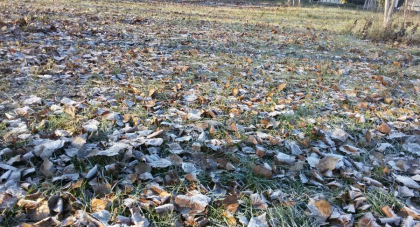 Se prevede cer noros, fara precipitatii. Ce temperaturi vor fi in capitala, dar si in celelalte regiuni. Prognoza meteo - FOTO