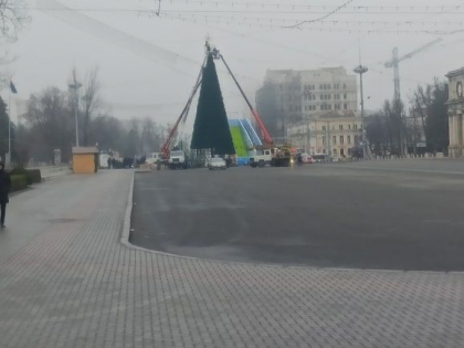 Gata cu sarbatorile. Bradul din PMAN - demontat - GALERIE FOTO