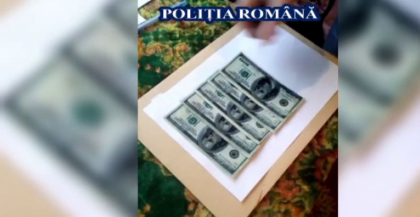 Cumparau cai cu bani falsi. Ce se intampla apoi cu animalele Cumparau cai cu bani falsi. Ce se intampla apoi cu animalele