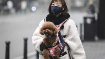 Analiza: de ce iau oamenii tot mai multe boli grave de la animale Analiza: de ce iau oamenii tot mai multe boli grave de la animale