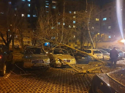 Vantul puternic provoaca pagube. Mai multe masini au fost avariate dupa ce peste ele a cazut un copac - GALERIE FOTO Vantul puternic provoaca pagube. Mai multe masini au fost avariate dupa ce peste ele a cazut un copac - GALERIE FOTO