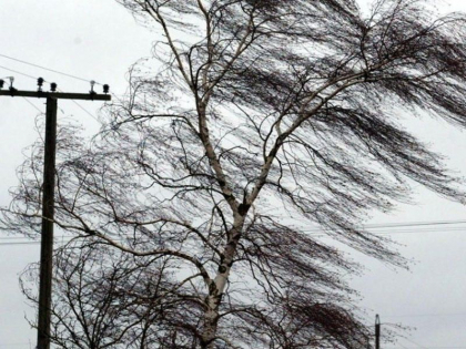 Cod galben de vant puternic in toata tara. Meteorologii au emis o avertizare - FOTO