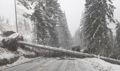 COD ROSU in 2 judete din Romania si cod portocaliu, in 18. Vantul va sufla cu 170 km/h