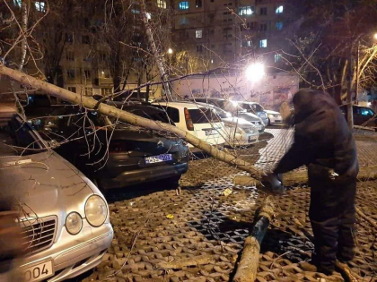 Copaci doborati, masini avariate, crengi peste firele electrice - acesta este tabloul creat de rafalele de vant. In caz de situatii problematice, cetatenii sunt indemnati sa informeze Primaria - GALERIE FOTO