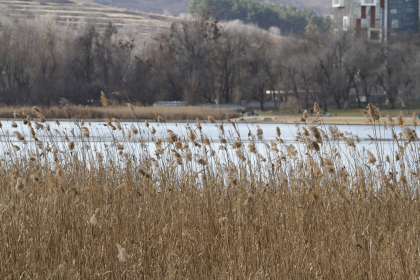Inceput de saptamana cu maxime de pana la + 8 grade, in capitala. Ce temperaturi se vor inregistra in toate regiunile tarii. Prognoza meteo - FOTO