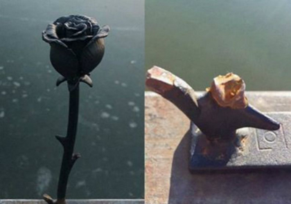 Trandafirul Micului Print din parcul Valea Morilor - vandalizat - FOTO