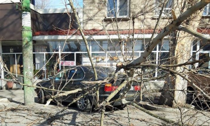 Un copac a cazut peste o masina parcata pe o strada din capitala