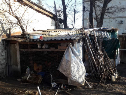 Isi imagineaza cineva cum arata un cotet de gaini sau iepuri in centrul capitalei? Responsabilii de la primarie spun ca au demontat constructia - GALERIE FOTO