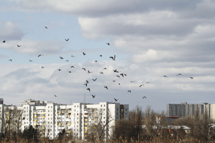 Temperaturi de pana la +7 grade vom avea astazi in capitala. Cum va fi vremea in weekend. Prognoza meteo - FOTO Temperaturi de pana la +7 grade vom avea astazi in capitala. Cum va fi vremea in weekend. Prognoza meteo - FOTO