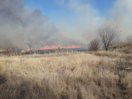 Incendiu de vegetatie la Causeni: 10 hectare, cuprinse de flacari - GALERIE FOTO