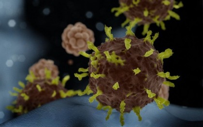 Epidemia de coronavirus. Alte 2 tari din Europa au anuntat primele cazuri Epidemia de coronavirus. Alte 2 tari din Europa au anuntat primele cazuri