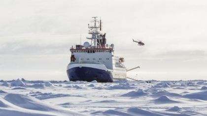 Cel mai rece mediu din lume in care exista viata, afectat de incalzirea globala. Oamenii de stiinta sunt ingrijorati Cel mai rece mediu din lume in care exista viata, afectat de incalzirea globala. Oamenii de stiinta sunt ingrijorati