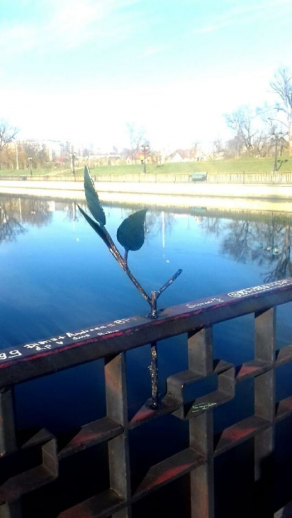Istoria se repeta. Cel de-al doilea trandafir instalat in Parcul Valea Morilor, vandalizat - FOTO Istoria se repeta. Cel de-al doilea trandafir instalat in Parcul Valea Morilor, vandalizat - FOTO