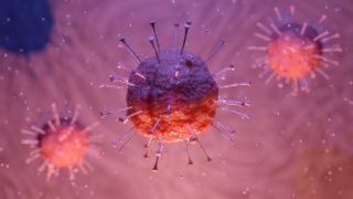 Coronavirus in lume Presedintele Braziliei, infectat cu noul virus / Spania intra in stare de urgenta, dupa Bulgaria / Cehia isi inchide granitele