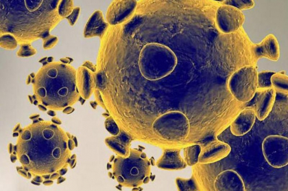 Coronavirus in lume: Trump a declarat stare de urgenta, in timp ce China a avut cel mai mic numar de cazuri din ianuarie / Australia a ramas in unele parti ale tarii fara kituri de testare