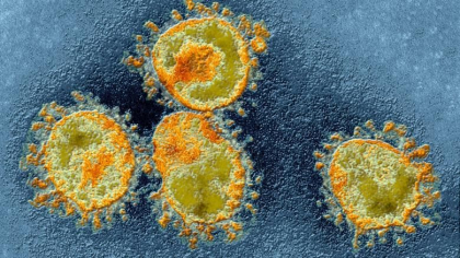 Singura tara din Europa care nu are cazuri de coronavirus: „Suntem linistiti si curati”