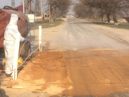 Pesta porcina intr-un sat din Glodeni. Localitatea este in carantina, iar la intrare si iesire sunt instalate 2 posturi de control - FOTO