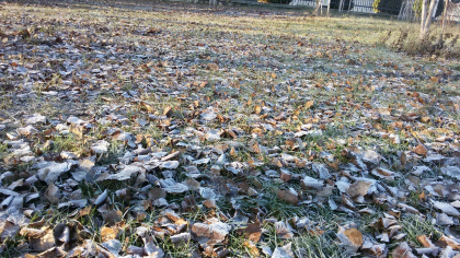 Codul galben de seceta ramane in vigoare. In capitala se asteapta pana la +9 grade. Cum va fi vremea in celelalte regiuni. Prognoza meteo - FOTO