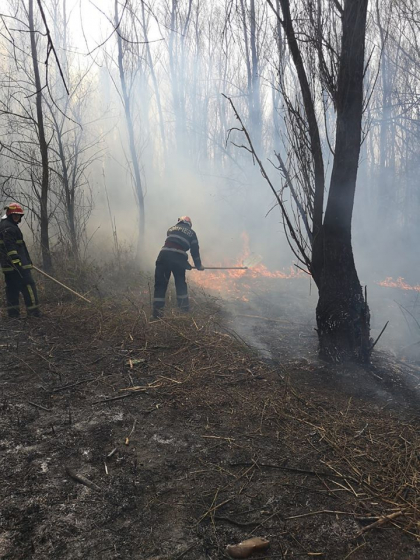 Incendiu de vegetatie la granita dintre Romania si Moldova. Pompierii lupta cu flacarile mai bine de 24 de ore - GALERIE FOTO