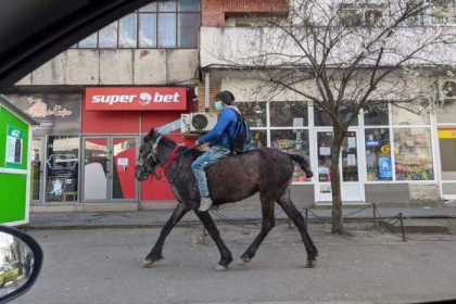 Barbatul surprins pe cal, in Iasi, mergea la maternitate, unde ii nascuse sotia. Venise de la tara calare, pentru ca autobuzele nu mai circula Barbatul surprins pe cal, in Iasi, mergea la maternitate, unde ii nascuse sotia. Venise de la tara calare, pentru ca autobuzele nu mai circula